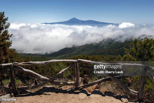view from below the garajonay onto bosque del cedro, passat clouds and mount teide on tenerife, la gomera, canary islands, spain - bosque stock pictures, royalty-free photos & images