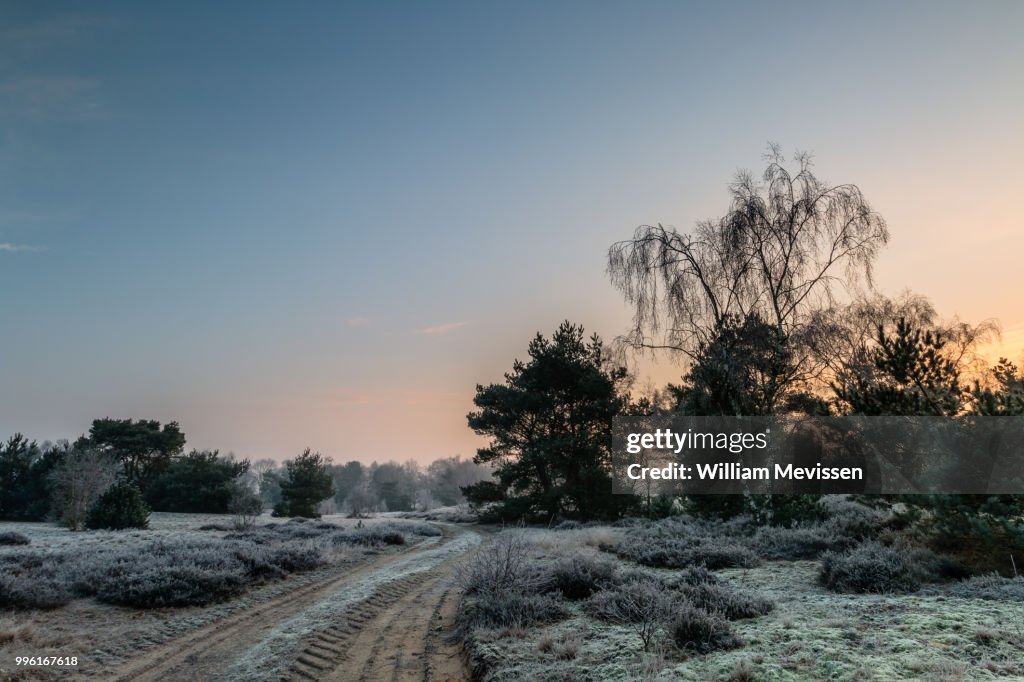 Sunrise Winter Path