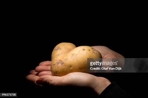 heart shaped potato - dijk stock pictures, royalty-free photos & images