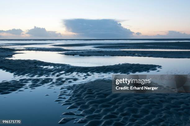 tidal channels in the wadden sea, langeoog, east frisia, lower saxony, germany - langeoog stock pictures, royalty-free photos & images