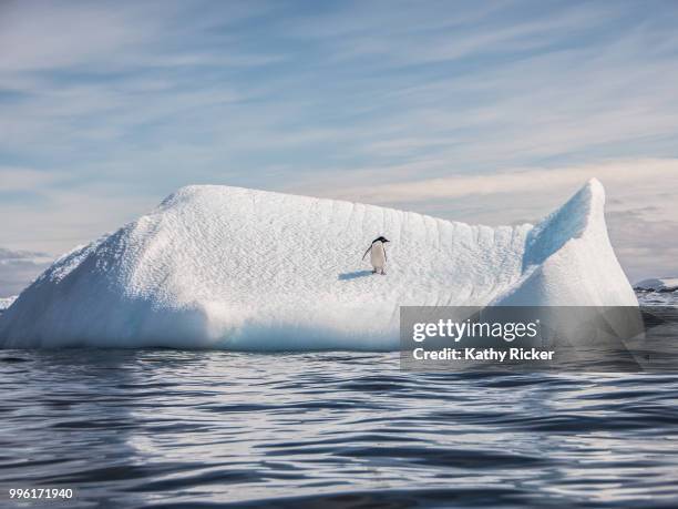 kathleenhertelphotography antarcticalandscapes - herstel stock pictures, royalty-free photos & images