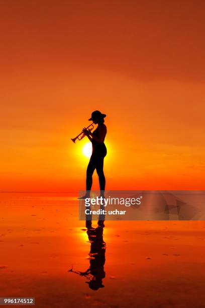 frau spielt trompete und ihr spiegelbild - trompet stock-fotos und bilder