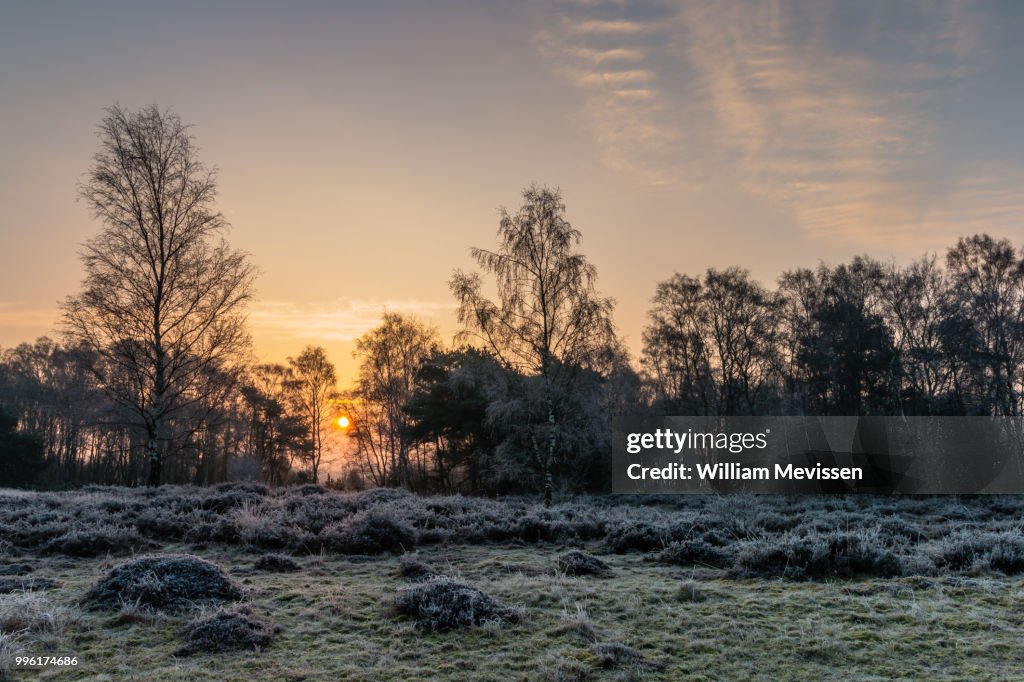 Winter Sunrise