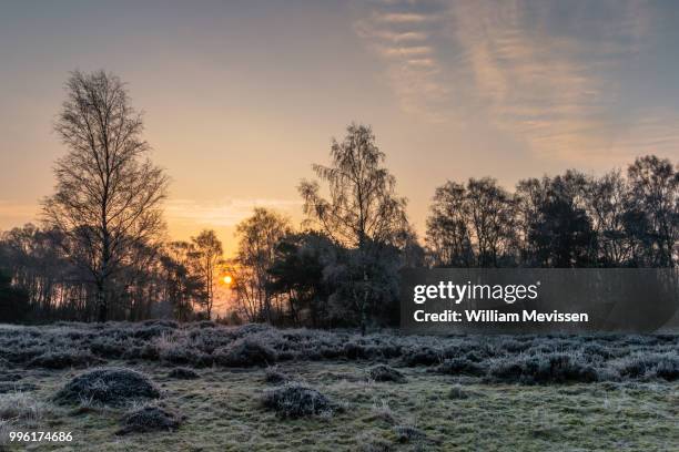 winter sunrise - william mevissen stock pictures, royalty-free photos & images