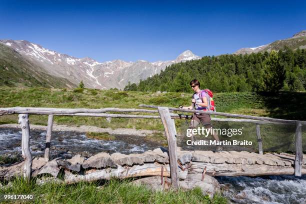 hiker on the ascent on the kortscher schafsberg in schnals, here in the lagauntal valley, behind the saldurspitz, schnalstal, meranerland, province of south tyrol, region of trentino-alto adige, italy - val senales imagens e fotografias de stock