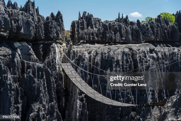 suspension bridge over canyon, karst landscape, national park tsingy du bemaraha, unesco world heritage site, mahajanga, madagascar - motif africain stock-fotos und bilder