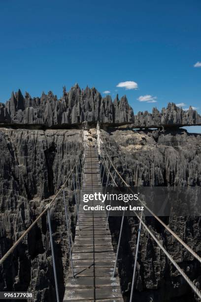 suspension bridge over canyon, karst landscape, national park tsingy du bemaraha, unesco world heritage site, mahajanga, madagascar - motif africain stock pictures, royalty-free photos & images