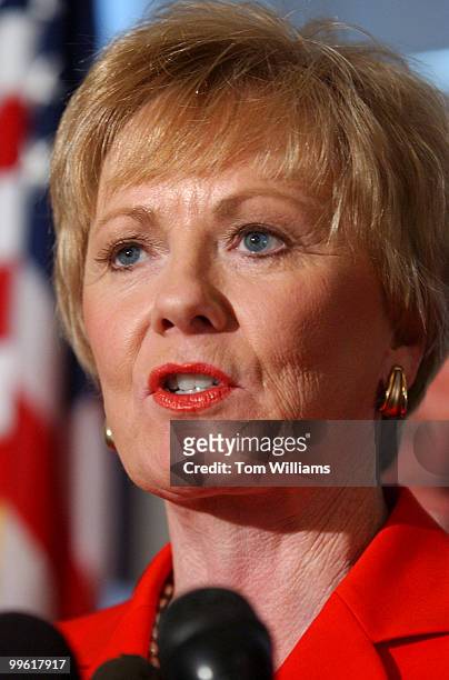 Rep. Kay Granger, R-Texas, attends a news conference on marking the passage of the first Homeland Security Appropriations Bill.