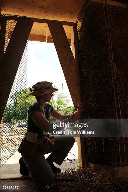 Laura Bartels, of Builder Without Borders, works on a doorway on a strawbale house outside of the U.S. Botanic Garden as part of the "One Planet -...