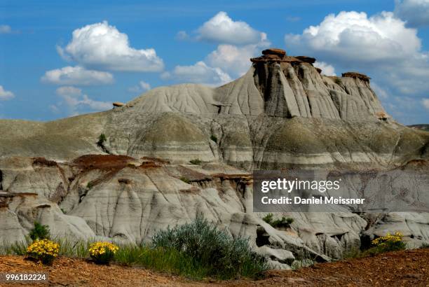 badlands, eroded rock formation of sedimentary rock, dinosaur provincial park, unesco world heritage site, alberta province, canada - fossil site stock pictures, royalty-free photos & images