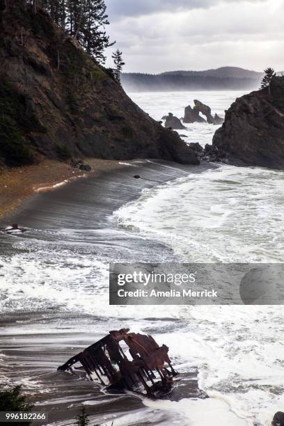 shi shi - amelia stockfoto's en -beelden