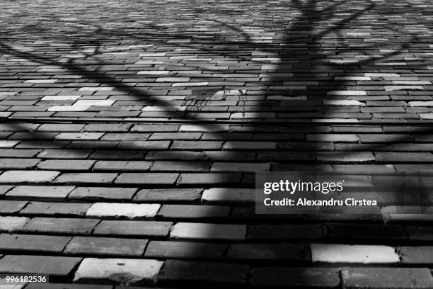 shadows and bricks - cirstea ストックフォトと画像