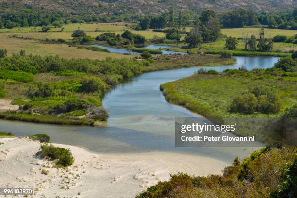 mouth of the river ostriconi in calvi, corse-du-sud, corsica, france - corse du sud stockfoto's en -beelden