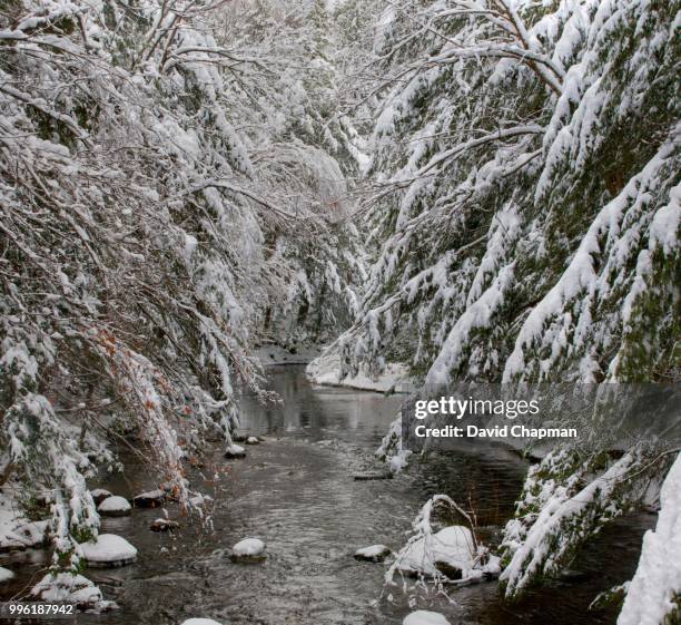 yamaska river in winter, eastern townships, quebec, canada - eastern townships stockfoto's en -beelden