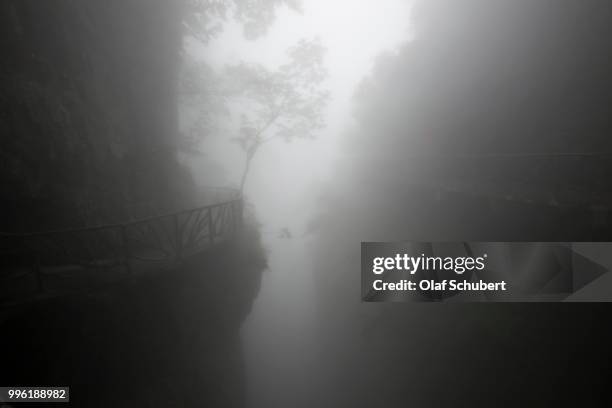 hiking trail in fog, tianmen mountain, tianmen mountain national park, yongding, zhangjiajie, china - tianmen stock pictures, royalty-free photos & images