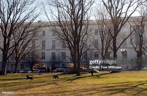 Sen. Ted Kennedy, D-Mass., plays with his Portuguese Water Dogs in Upper Senate Park.