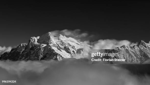 wetterhorn - wetterhorn stock pictures, royalty-free photos & images