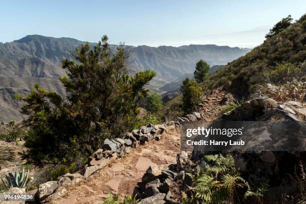 hiking trail from the mirador degollada de paraza to la laja, la gomera, canary islands, spain - mirador stock pictures, royalty-free photos & images