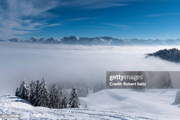 allgaeu alps, with snow-covered winter forest and fog in the valley, ofterschwang, oberallgaeu district, bavaria, germany - alpes do allgäu imagens e fotografias de stock