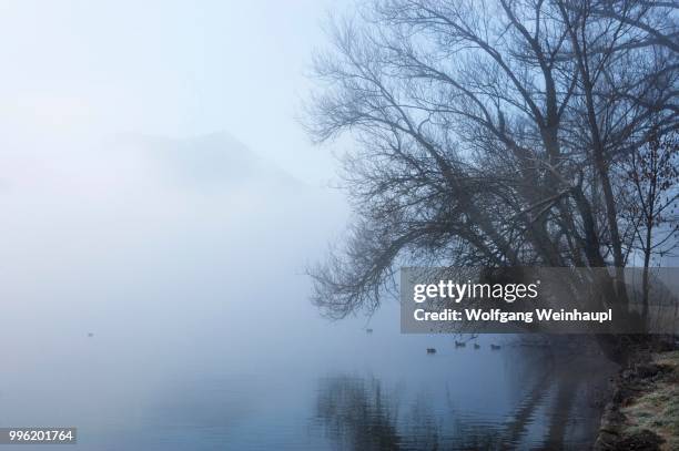 morning fog on mondsee lake, mondseeland region, salzkammergut, upper austria, austria - vocklabruck stock pictures, royalty-free photos & images