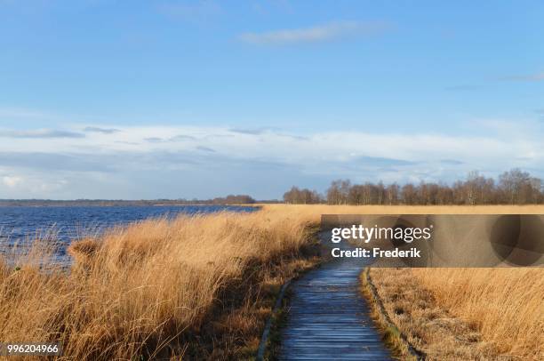 boardwalk in a raised bog in the autumn, ewiges meer, expanse of water, lower saxony, germany - meer photos et images de collection