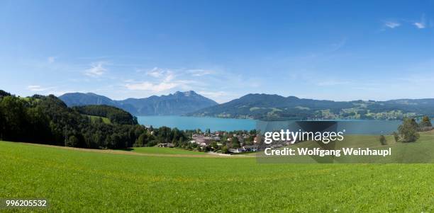 attersee lake with mt schafberg, seefeld am attersee, salzkammergut, upper austria, austria - attersee stock pictures, royalty-free photos & images