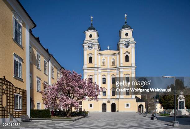 st. michael basilica with blooming magnolia tree, kloster mondsee monastery, mondsee, salzkammergut, upper austria, austria - vocklabruck stock pictures, royalty-free photos & images
