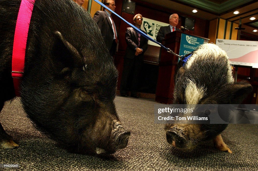 Congressional Pig Book