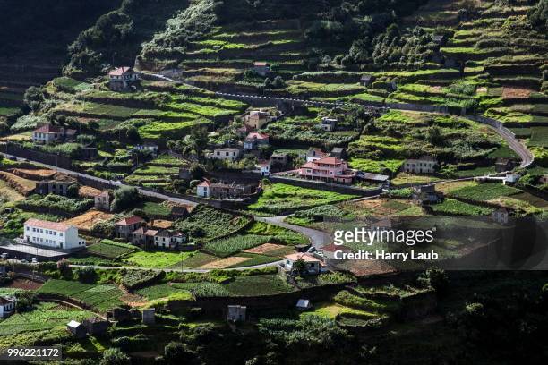 terraced fields and houses, ribeira de janela, madeira, portugal - janela stock pictures, royalty-free photos & images