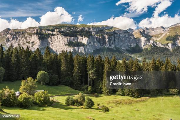 flimserstein massif, sardona area, unesco world heritage site, flims, graubuenden, switzerland - hochland stock-fotos und bilder