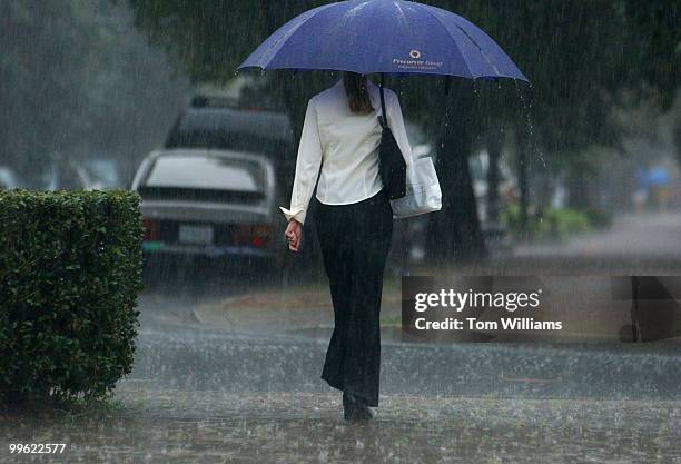 Woman walks Capitol Hill near Penna. Ave., SE, during a rainstorm cause by hurricane Jeanne.