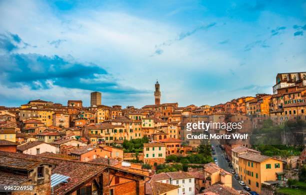 historic centre with the torre del mangia, siena, tuscany, italy - torre del mangia stock pictures, royalty-free photos & images