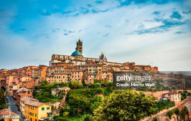 historic centre with the cathedral cattedrale di santa maria assunta, siena, tuscany, italy - kathedraal van siena stockfoto's en -beelden