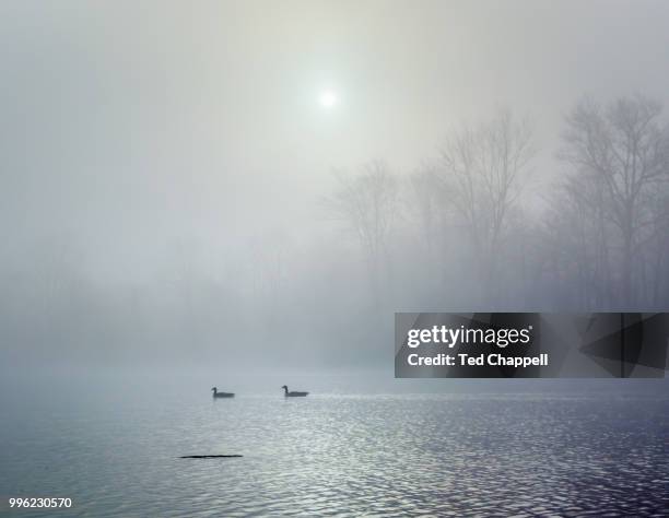 calm misty morning - chappell stock pictures, royalty-free photos & images