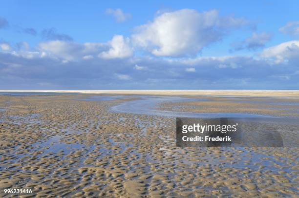 nordstrand beach, north sea, langeoog, lower saxony, germany - langeoog photos et images de collection