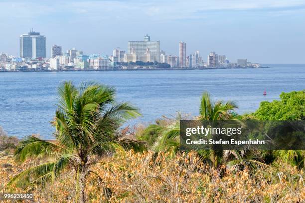 view of the districts of centro habana and el verdado, havana, ciudad de la habana, cuba - ciudad stock pictures, royalty-free photos & images