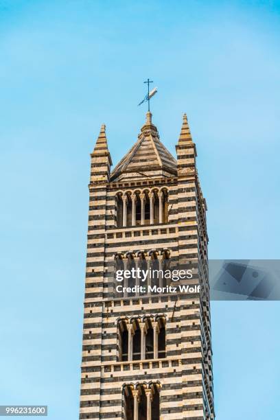 striped tower, siena cathedra, siena, tuscany, italy - kathedraal van siena stockfoto's en -beelden