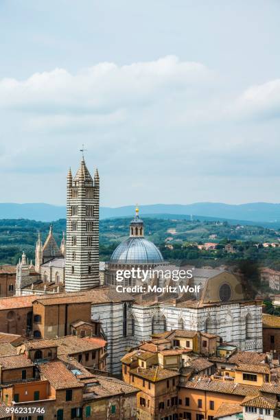 old town with siena cathedra, siena, tuscany, italy - kathedraal van siena stockfoto's en -beelden