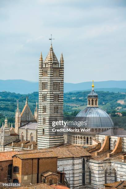 old town with siena cathedra, siena, tuscany, italy - kathedraal van siena stockfoto's en -beelden