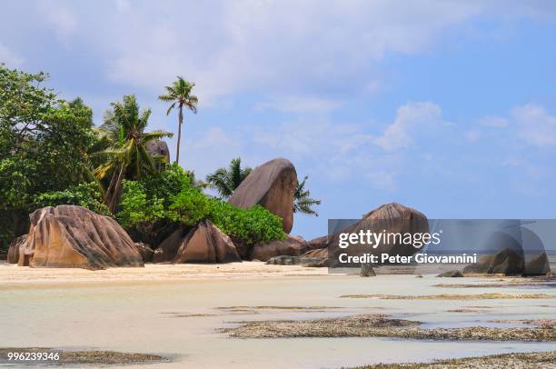 granite rocks and palm trees on anse la reunion beach, la digue island, la digue and inner islands, seychelles - peter island stock pictures, royalty-free photos & images