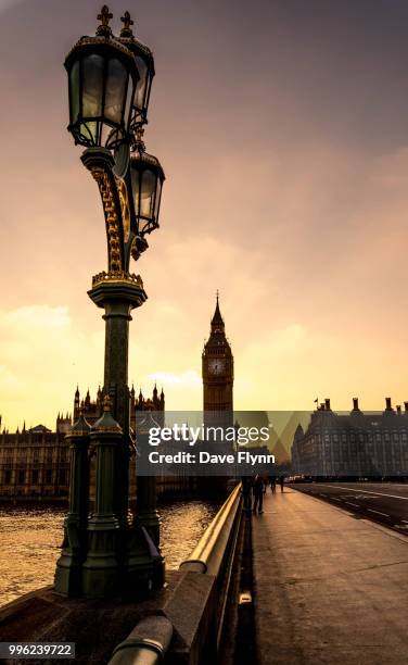 westminster - flynn stock pictures, royalty-free photos & images