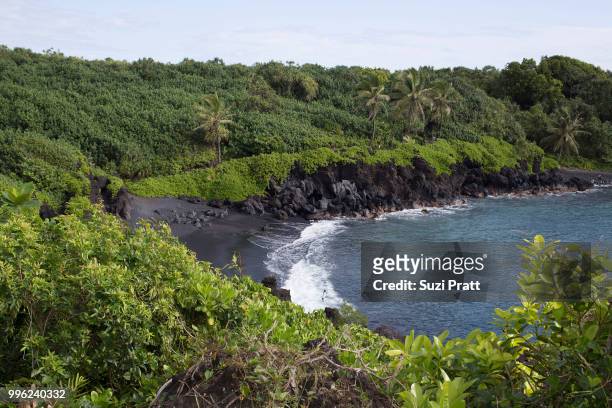 waianapanapa state park in maui hawaii - suzi pratt stock pictures, royalty-free photos & images