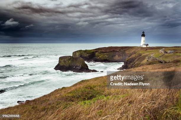 facing the storm - flynn stock pictures, royalty-free photos & images