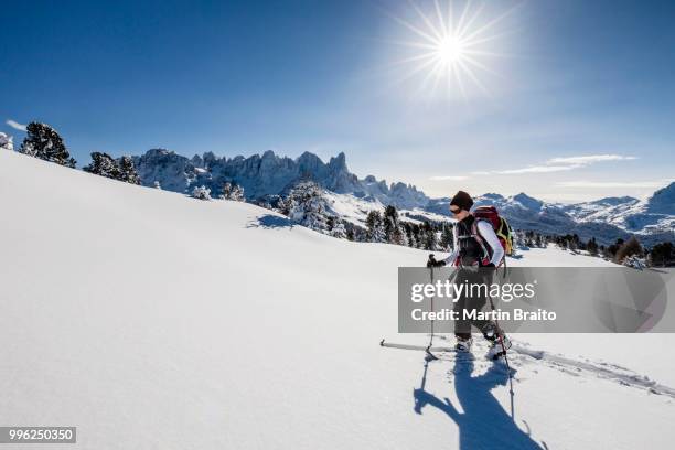 ski touring, during the ascent of mt cima bocche on passo valles, at the back the pala group and mt passo rolle, parco naturale paneveggio, pale di san marino, dolomites, trentino, italy - marino stock pictures, royalty-free photos & images