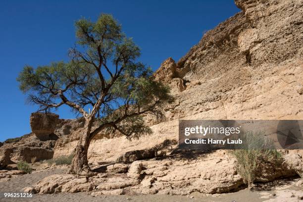 sesriem canyon, namib naukluft park, namibia - skeleton coast national park stock pictures, royalty-free photos & images
