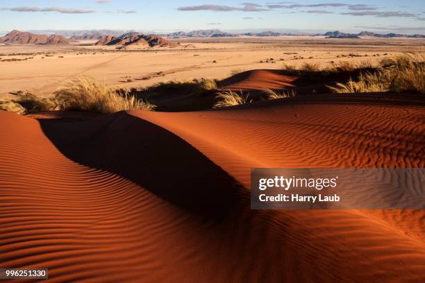 elim dune, view onto grass steppe at sesriem camp, namib desert, namib naukluft park, namibia - skeleton coast national park stock pictures, royalty-free photos & images