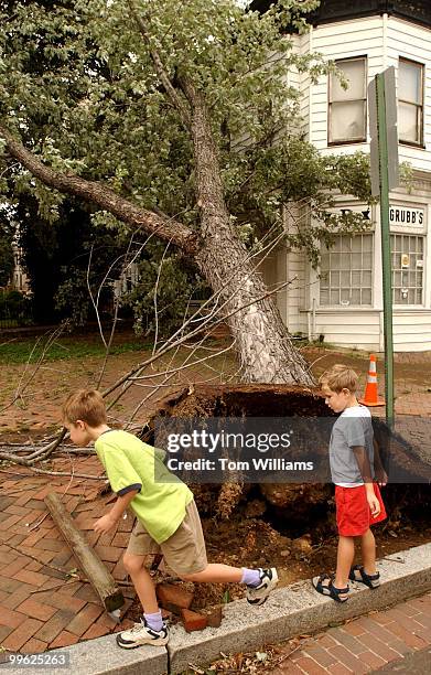 Robert and William Haislmaier check out a tree that fell on Grubbs Pharamacy at 4th and East Capitol due to high winds from Tropical Strom Isabel.