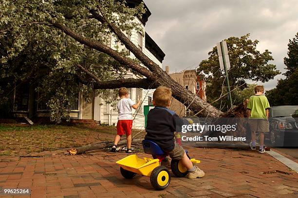 Hugo Day, 2 1/2, checks out a tree that fell on Grubbs Pharmacy at 4th and East Capitol, due to high winds from Tropical Strom Isabel.