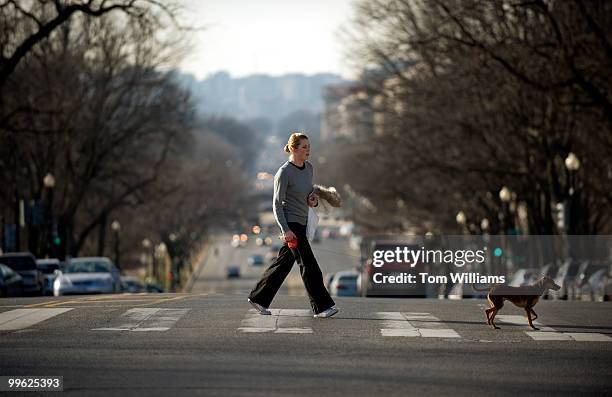 Pedestrian walks her dog across Constitution Ave., near the Capitol, Jan. 14, 2010.