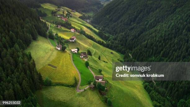 aerial view valley with green pine forest mountain in summer;italy - somnuk krobkum stock-fotos und bilder